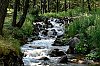 2019-JMD2636-En-montant-au-lac-d_Allos.jpg