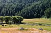 2019-JMD2645-En-montant-au-lac-d_Allos.jpg