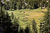2019-JMD2654-En-montant-au-lac-d_Allos.jpg