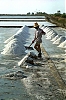 86-006-Pirate.jpg