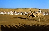 Arabie-saoudite006.jpg