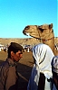Arabie-saoudite007.jpg