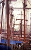 DC-109---011_-Pirate.jpg