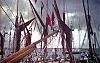 DC-109---018-Pirate.jpg