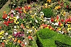 DSCF1264-c-700.jpg