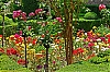 DSCF1307-c-700.jpg