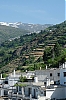 DSCF1357-c-700.jpg
