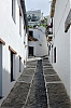 DSCF1362-c-700.jpg