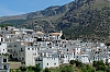 DSCF1395-c-700.jpg