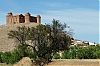 DSCF1425-c-700.jpg