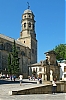 DSCF1535-c-700.jpg