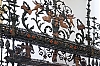 DSCF1562-c-700.jpg