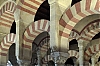 DSCF1617-c-700.jpg