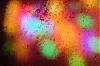 DSCF1636-c-700.jpg