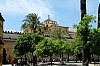 DSCF1650-c-700.jpg