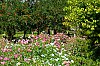 DSCF1738-c-700.jpg