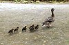 DSCF1748-c-700.jpg