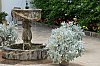 DSCF1820-c-700.jpg
