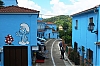 DSCF2976-c-700.jpg