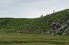 DSCF6226-c-700.jpg