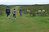 DSCF6423.jpg