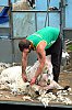 DSCF6634-c-700.jpg