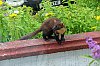 DSCF6720-c-700.jpg
