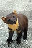 DSCF6725c-700.jpg