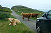 DSCF6805.JPG