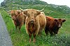 DSCF6808.JPG