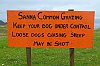 DSCF6810-c-700.jpg