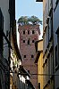DSCF7302-Lucca---Tour-des-Guinigi-c-700.jpg