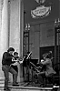 Fenice-01.jpg