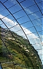 NC-144---015-2CPirate.jpg