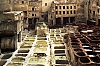 NC-181--035-r-Pirate.jpg