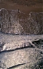 NC-95---037c-Pirate.jpg