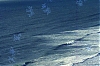 NC-95---038-g-Pirate.jpg