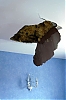 Plafond---1-Pirate.jpg