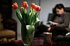_MG_5549_f.jpg