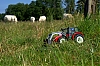 DSC01057-002.jpg