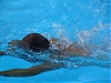 DSC01838.jpg