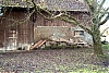 L1000234.jpg