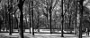 L1000670-nb-rec.jpg