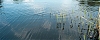 L1000713-rec.jpg
