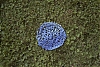 L1000879-002.jpg