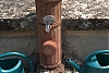 L1000971.jpg