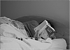 L1001056-nb.jpg