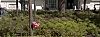L1001088.jpg