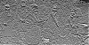 _B111903_cfil-2.jpg
