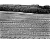 foma100-2.jpg